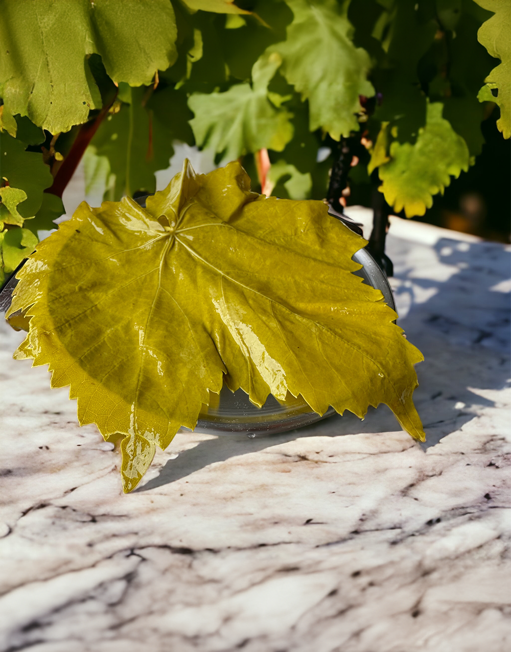 Damarsız Asma Yaprağı 5 Kilogram | İlk Hasat 2024