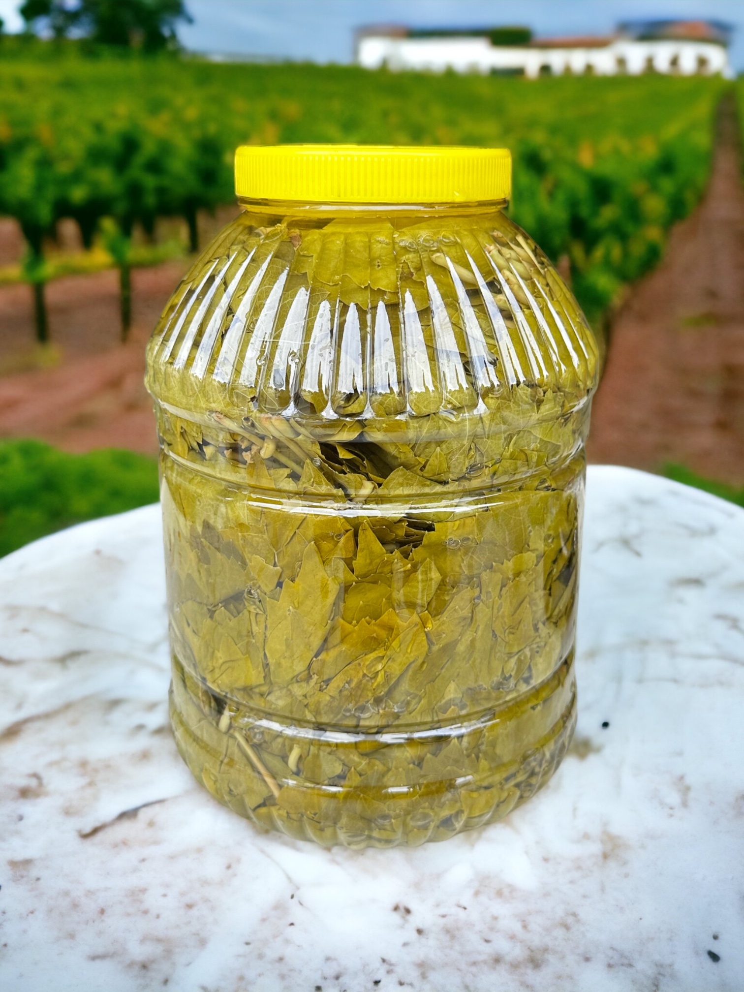 Damarsız Asma Yaprağı 5 Kilogram | İlk Hasat 2024 - Görsel 2